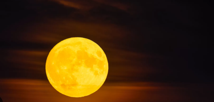 У листопаді зійде Бобровий супермісяць: коли спостерігати