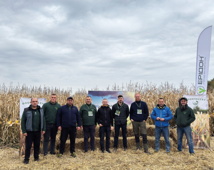 ТЗОВ «ҐУДВЕЛЛІ УКРАЇНА»: ПІДСУМКИ ДІЯЛЬНОСТІ СТАНОМ НА IV КВАРТАЛ 2025 РОКУ