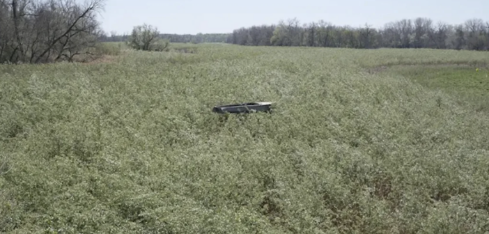 У Берліні українська мисткиня представила відеоінсталяцію про наслідки підриву Каховської ГЕС