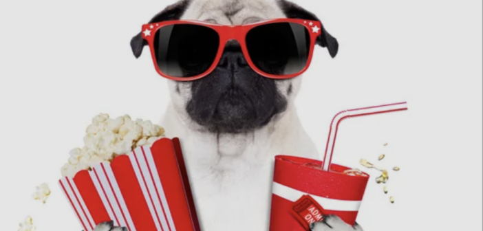 Які фільми вийдуть у березні