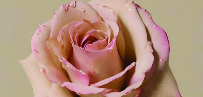 Чому зникає сексуальне бажання  і як його повернути